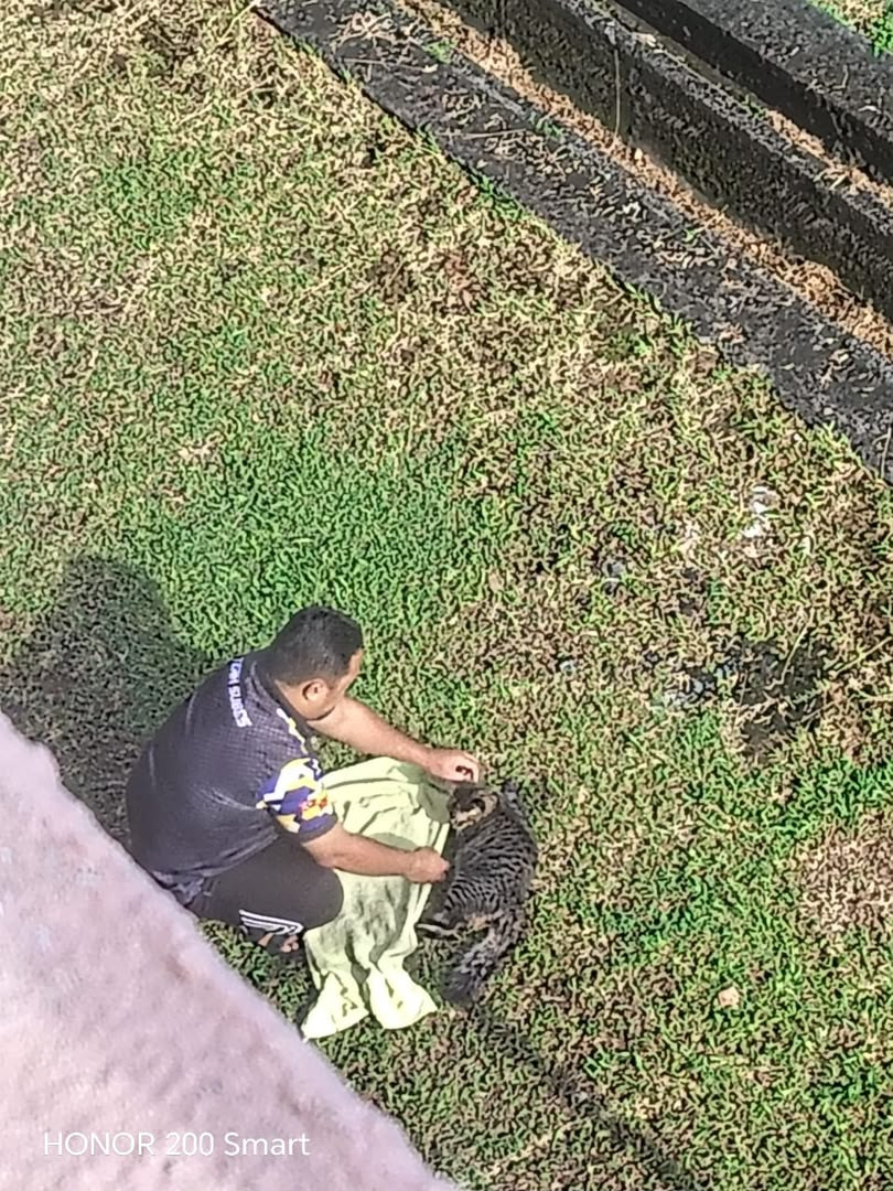 BANTU KOS RAWATAN KUCING